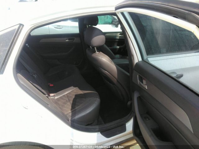 5NPE34AF7JH705244 Hyundai Sonata Sport+