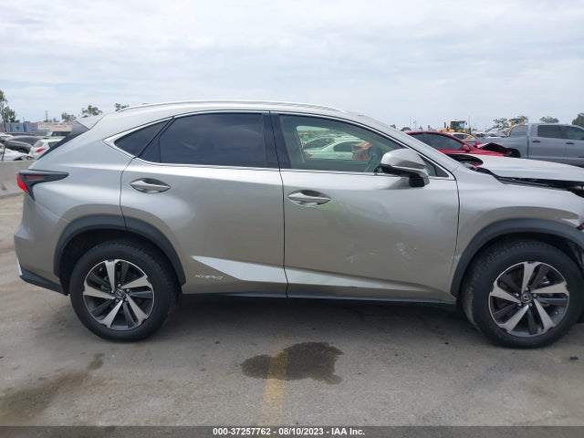 2020 Lexus NX, VIN: JTJGJRDZ9L2146380