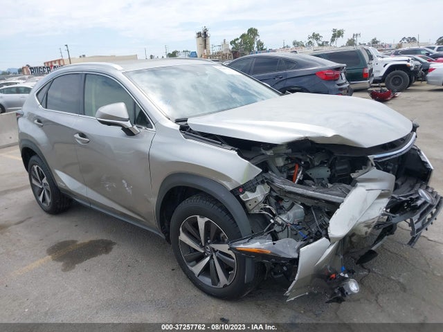 2020 Lexus NX, VIN: JTJGJRDZ9L2146380