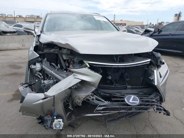2020 Lexus NX, VIN: JTJGJRDZ9L2146380