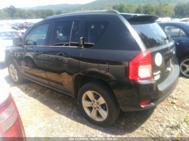 2011 JEEP COMPASS VIN: 1J4NF1FB6BD193344