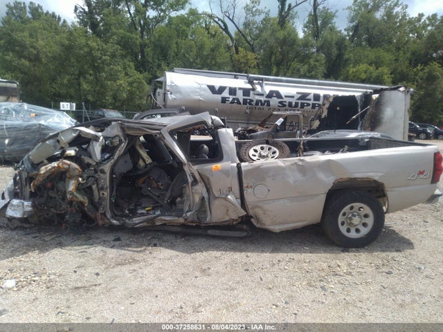 2006 CHEVROLET SILVERADO 1500 WORK TRUCK VIN: 1GCEK19ZX6E227344