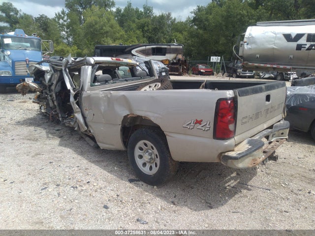 2006 CHEVROLET SILVERADO 1500 WORK TRUCK VIN: 1GCEK19ZX6E227344
