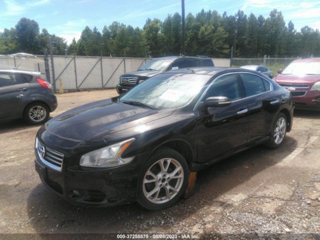 1N4AA5AP0EC481907 Nissan Maxima 3.5 Sv W/premium Pkg