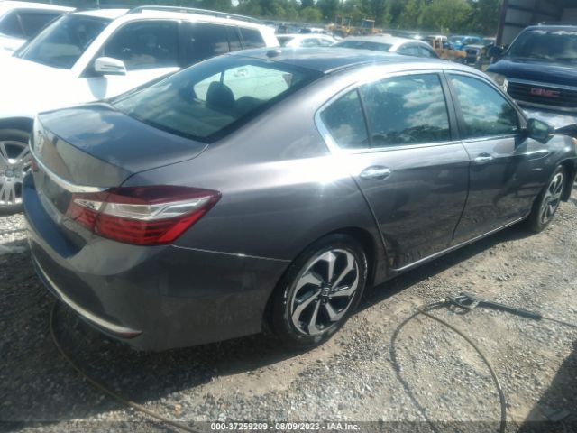 1HGCR2F81HA063160 Honda Accord Sedan Ex-l