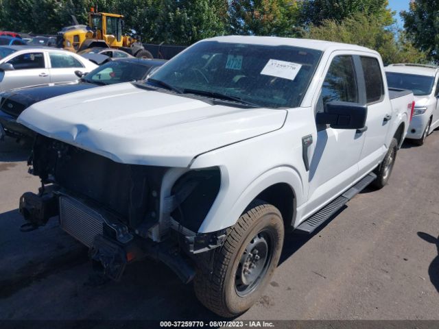 1FTEW1EP0MFB17239 Ford F-150 Xl/xlt/lariat