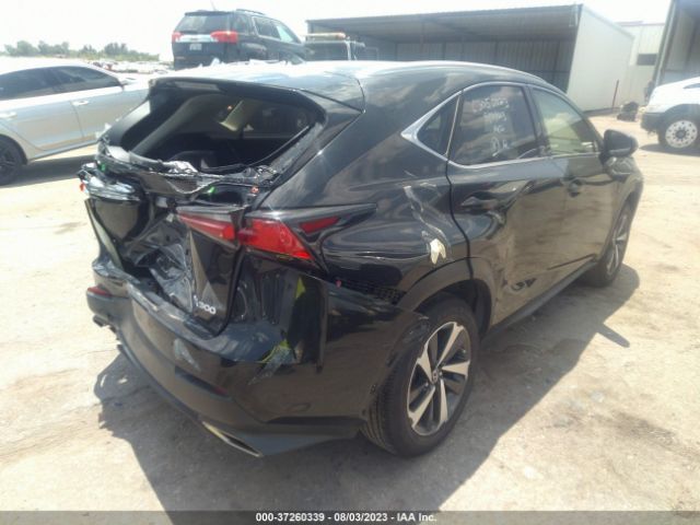 2020 LEXUS NX JTJGARBZ2L5016569 Photo 3