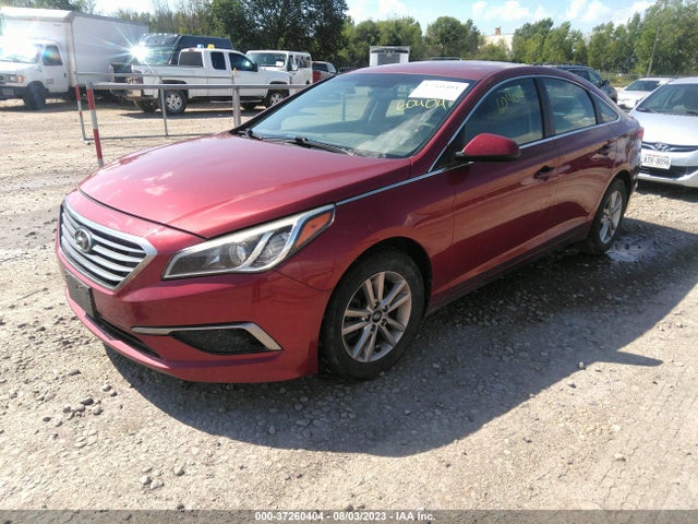 Hyundai Sonata 2.4l Se 2016 5NPE24AF3GH279466 Image 2