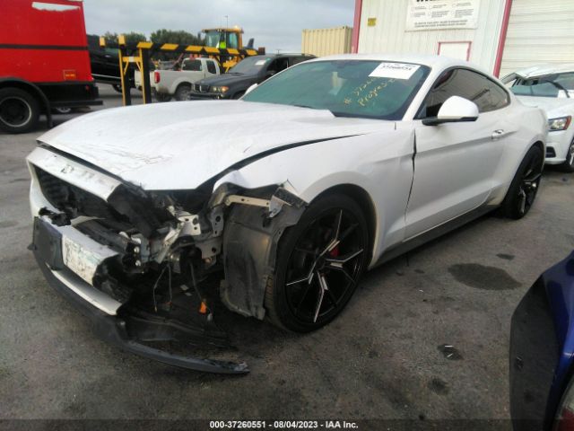 1FA6P8AM1H5239583 Ford Mustang V6