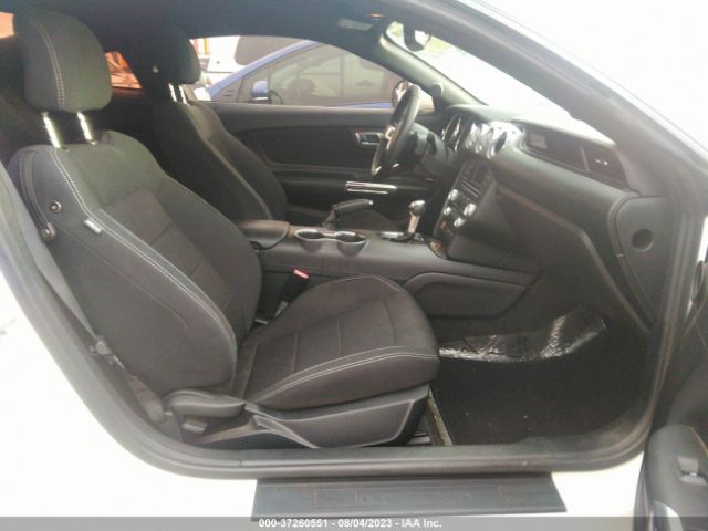 1FA6P8AM1H5239583 Ford Mustang V6