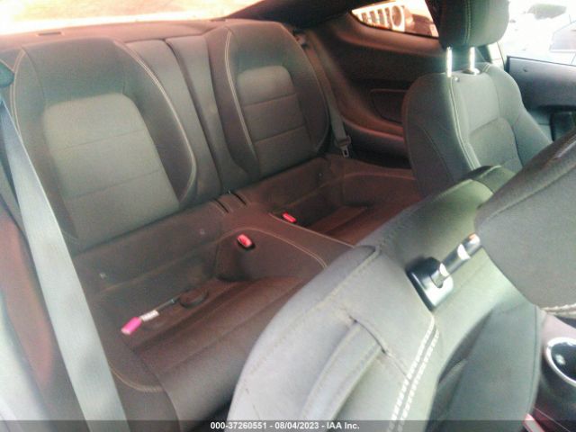 1FA6P8AM1H5239583 Ford Mustang V6