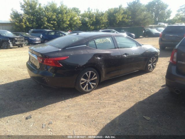 1N4AA6AP3HC407116 Nissan MAXIMA SL