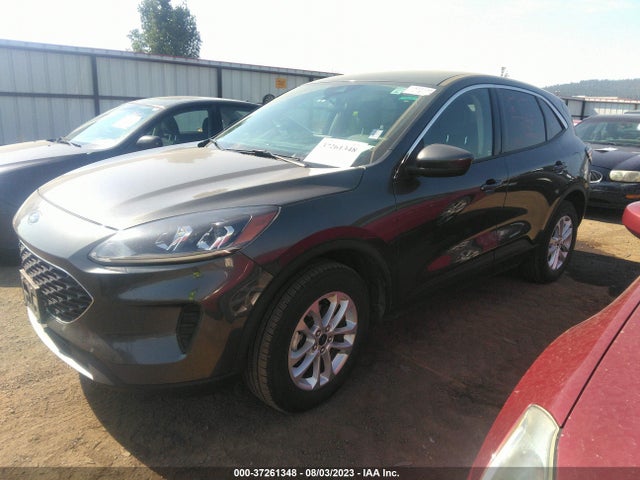 1FMCU9G66LUB31183 Ford ESCAPE SE
