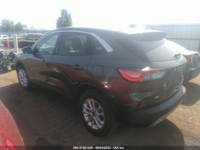 1FMCU9G66LUB31183 Ford ESCAPE SE