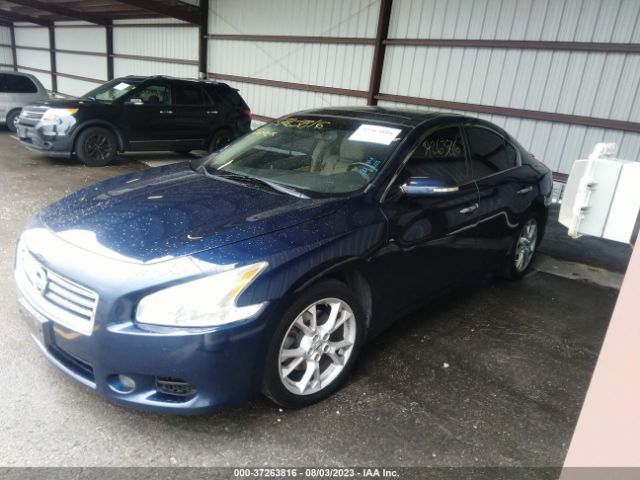 1N4AA5APXEC493949 Nissan Maxima 3.5 Sv W/premium Pkg