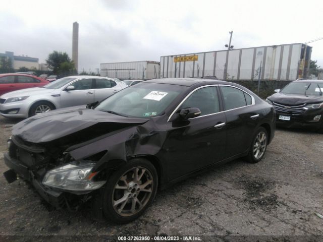 1N4AA5AP2EC494805 Nissan Maxima 3.5 Sv