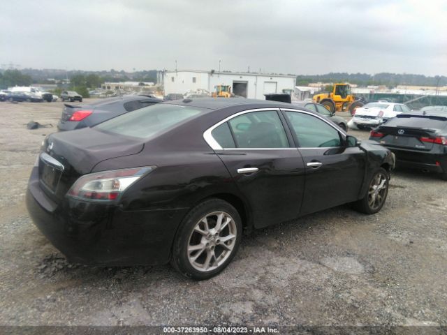 1N4AA5AP2EC494805 Nissan Maxima 3.5 Sv