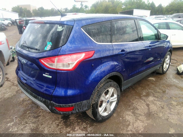 Ford ESCAPE SE 2014 1FMCU0GX1EUA38059 Image 4