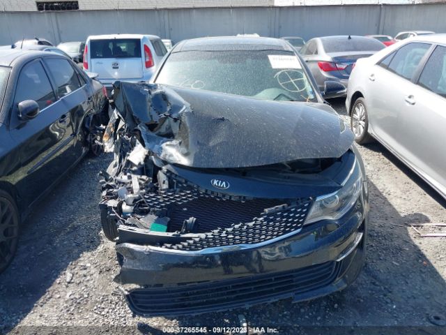5XXGU4L31GG055582 KIA OPTIMA EX