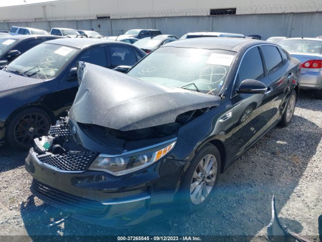 5XXGU4L31GG055582 KIA OPTIMA EX