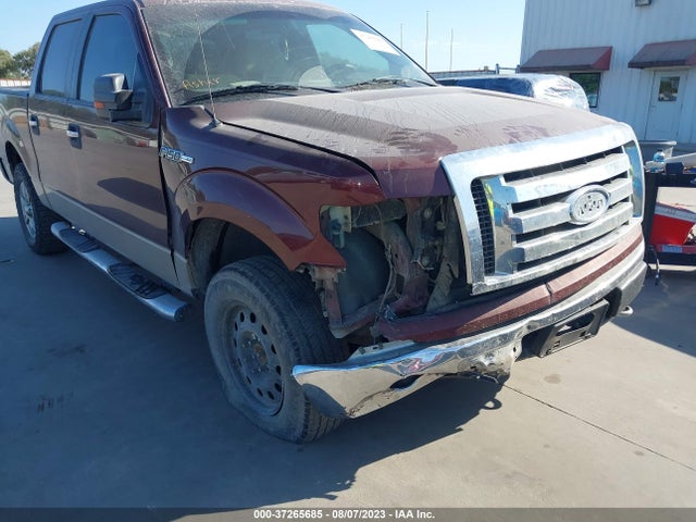 2009 FORD F-150 XL/XLT VIN: 1FTRW148X9FA67114