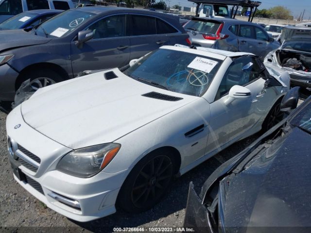 WDDPK4HA9EF094905 Mercedes-Benz Slk-class Slk 250