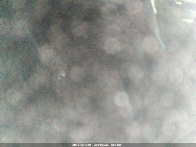 5YJ3E1EA6PF570229 Tesla MODEL 3
