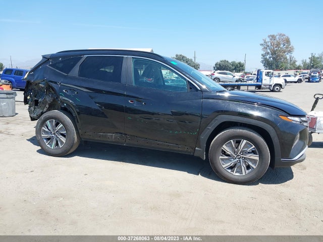 Hyundai Tucson Hybrid Blue 2023 KM8JBCA13PU089164 Image 6