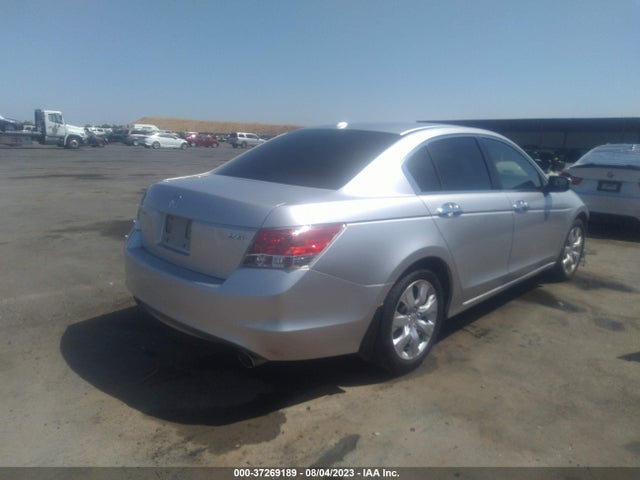 2010 HONDA ACCORD SDN EX-L VIN: 1HGCP3F80AA029485