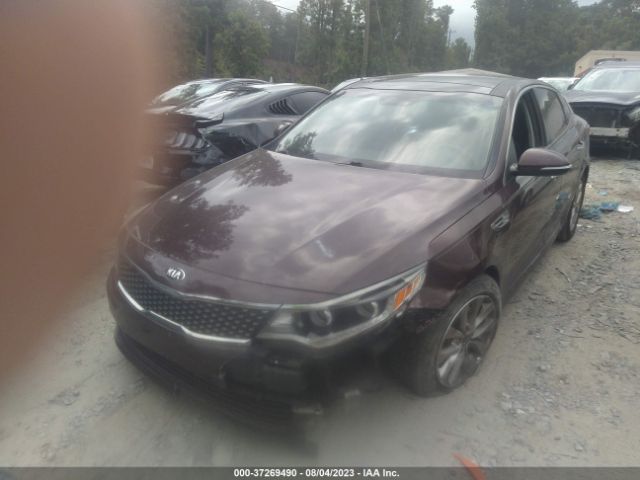 5XXGU4L31GG085150 KIA OPTIMA EX