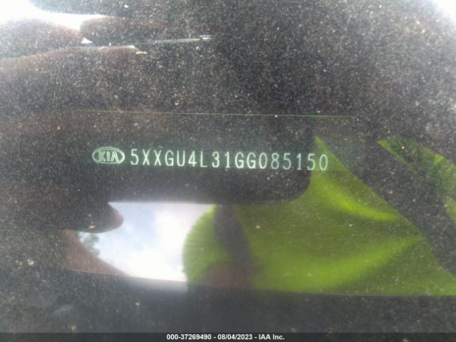 5XXGU4L31GG085150 KIA OPTIMA EX