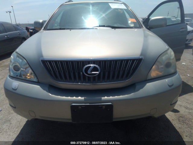 2007 LEXUS RX 350 VIN: 2T2HK31U37C020609