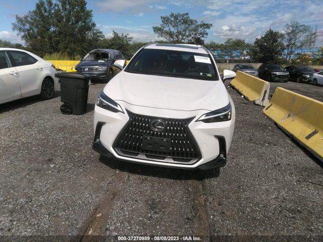 2022 Lexus NX, VIN: 2T2ADCAZ2NC002400