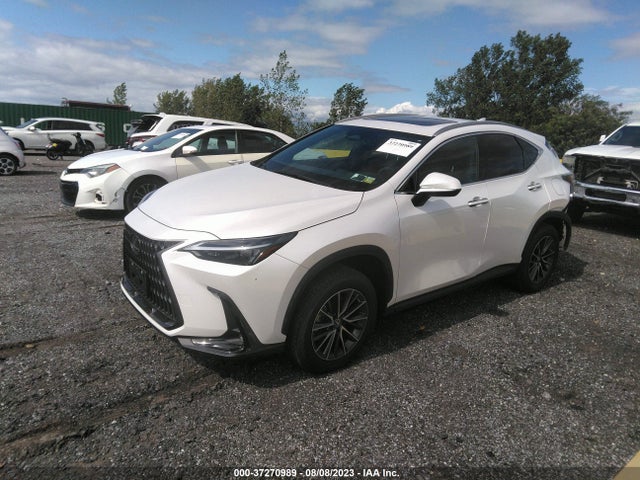 2022 Lexus NX, VIN: 2T2ADCAZ2NC002400
