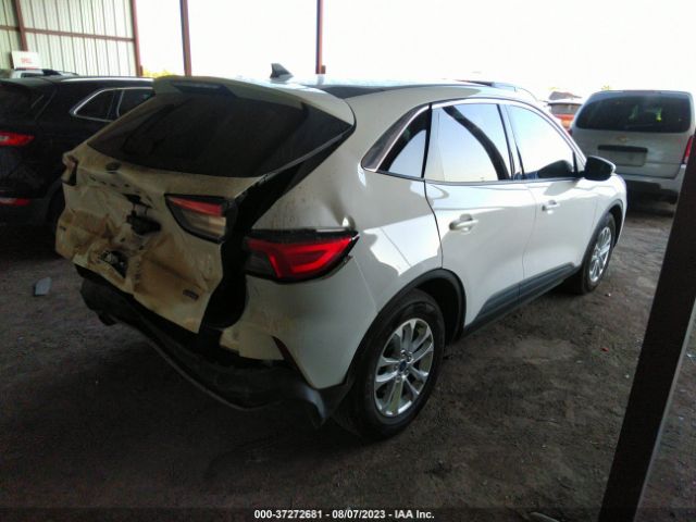 1FMCU0BZ3MUB13190 Ford Escape Se Hybrid