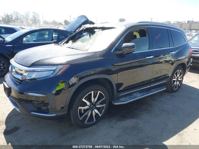 2019 HONDA PILOT ELITE VIN: 5FNYF6H05KB075984