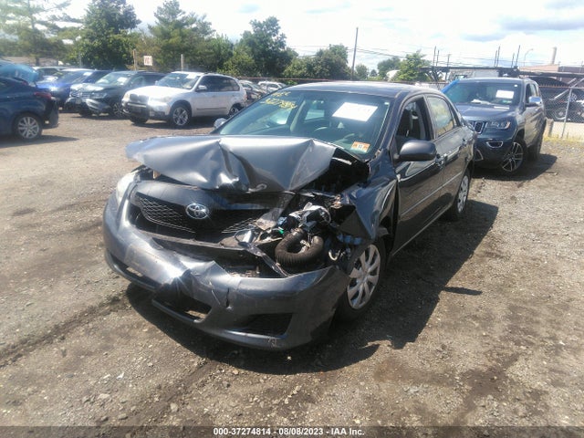 2010 TOYOTA COROLLA LE VIN: 2T1BU4EE0AC295634