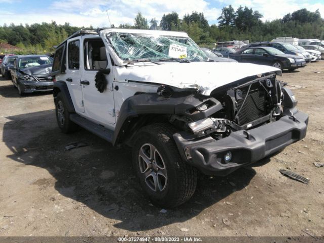 1C4HJXDN9LW110948 auction archive image