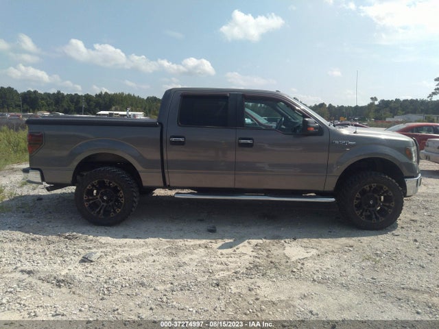 2013 FORD F-150 XL/XLT/FX4/LARIAT VIN: 1FTFW1EF0DFB87724