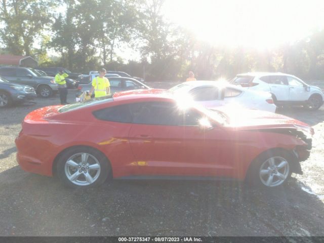 1FA6P8AM1H5280442 Ford Mustang V6