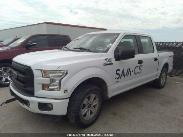 1FTEW1CP4FKD88026 Ford F-150 Xl/lariat/xlt