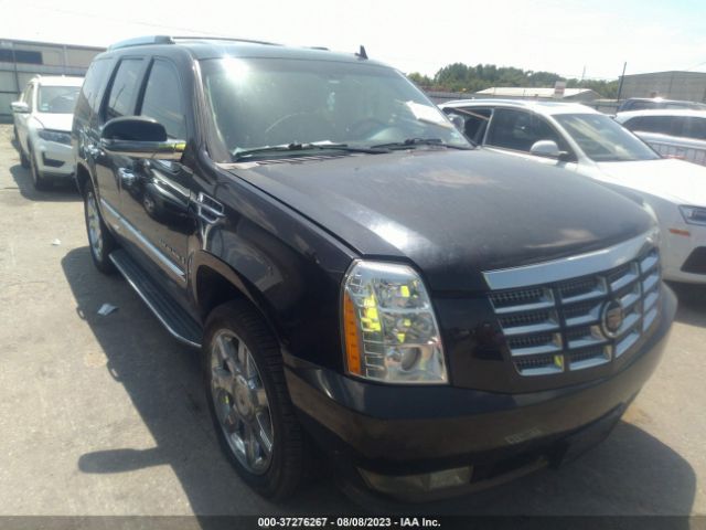 Auction sale of the 2009 Cadillac Escalade Standard, vin: 1GYFC23209R234166, lot number: 37276267