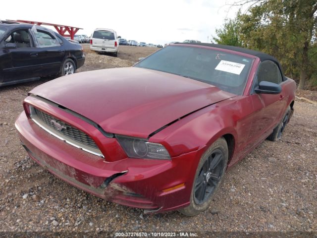 1ZVBP8EM4E5252775 Ford Mustang V6