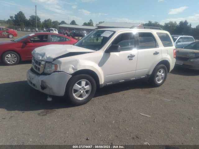 2012 FORD ESCAPE XLT VIN: 1FMCU0DG7CKC23844