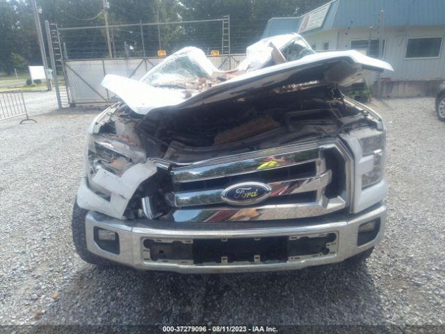 1FTEW1EF1GFA23107 Ford F-150 Xlt/xl/lariat/platinum