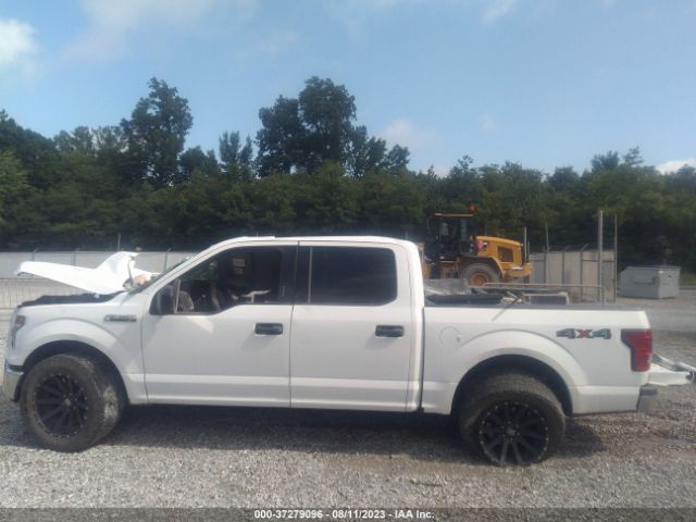 1FTEW1EF1GFA23107 Ford F-150 Xlt/xl/lariat/platinum