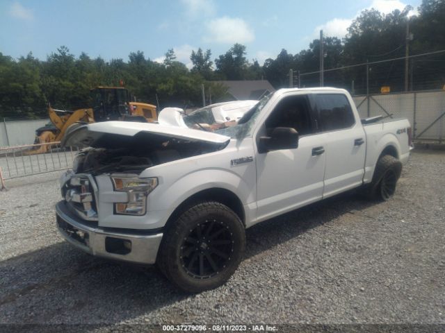 1FTEW1EF1GFA23107 Ford F-150 Xlt/xl/lariat/platinum