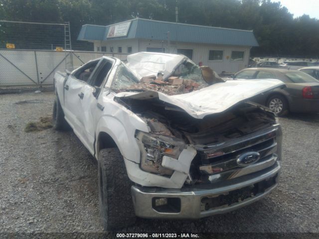 1FTEW1EF1GFA23107 Ford F-150 Xlt/xl/lariat/platinum