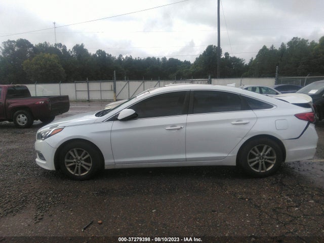 2015 HYUNDAI SONATA 2.4L SE VIN: 5NPE24AF1FH084271