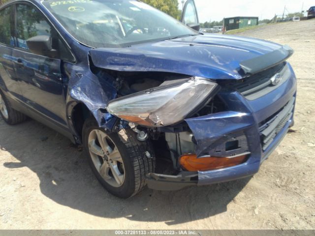 1FMCU0F71FUA87104 Ford ESCAPE S